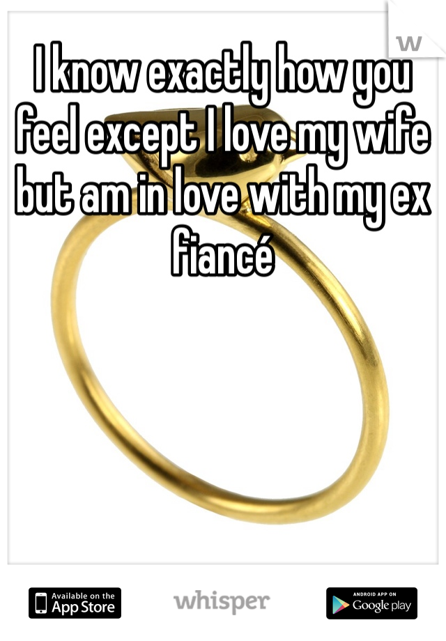 I know exactly how you feel except I love my wife but am in love with my ex fiancé 