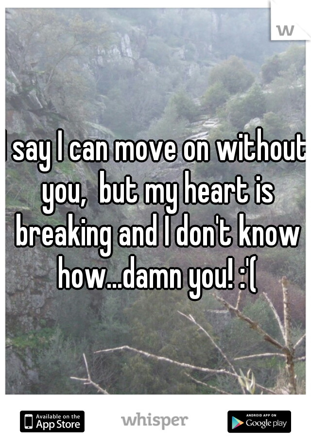I say I can move on without you,  but my heart is breaking and I don't know how...damn you! :'(