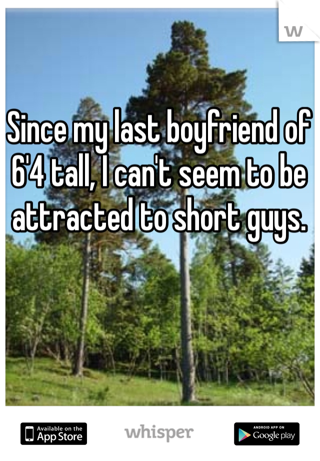 Since my last boyfriend of 6'4 tall, I can't seem to be attracted to short guys. 