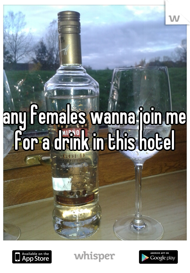 any females wanna join me for a drink in this hotel 