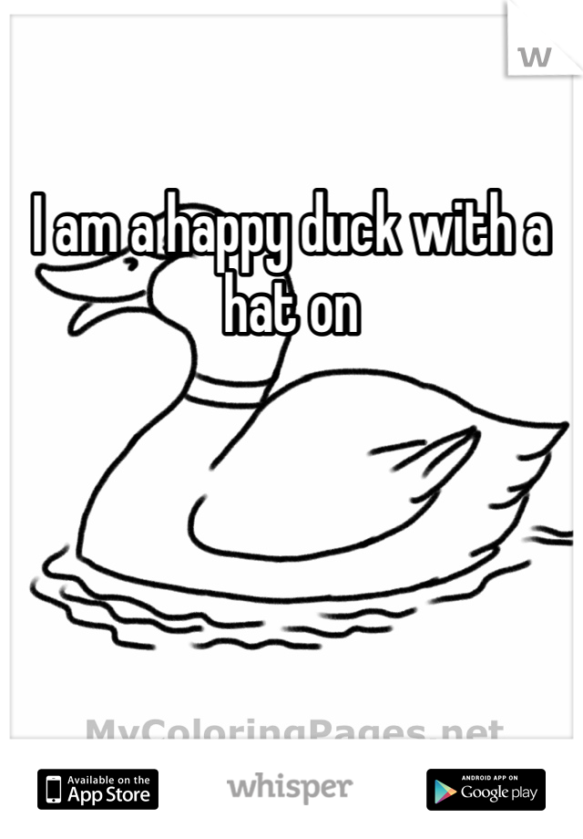 I am a happy duck with a hat on
