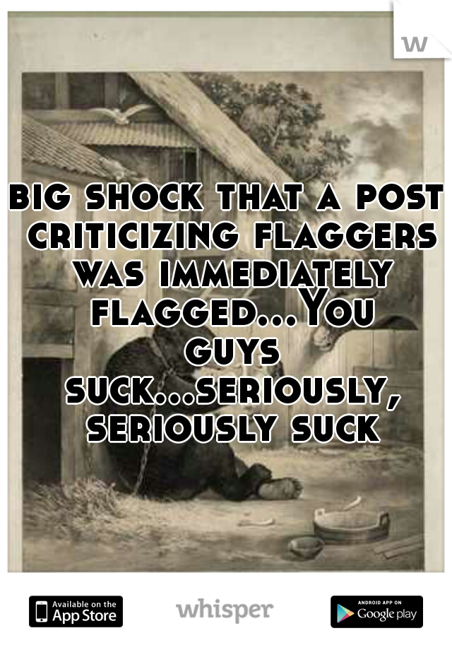 big shock that a post criticizing flaggers was immediately flagged...You guys suck...seriously, seriously suck