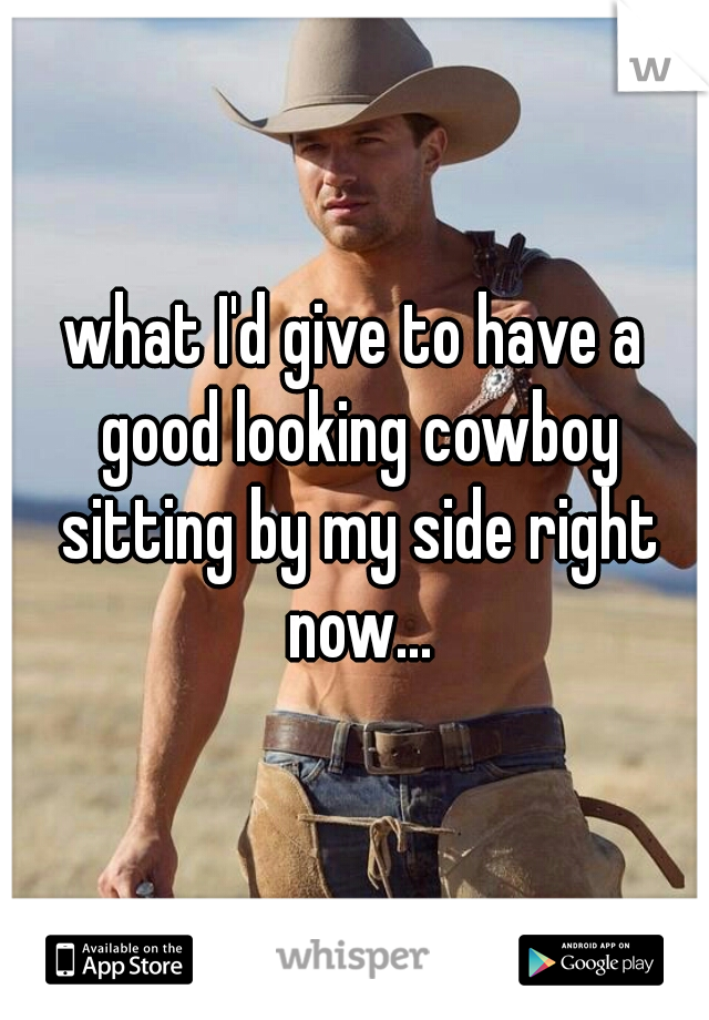 what I'd give to have a good looking cowboy sitting by my side right now...