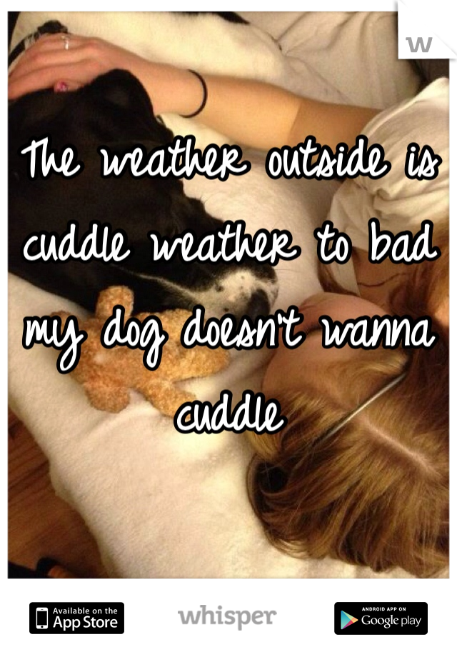 The weather outside is cuddle weather to bad my dog doesn't wanna cuddle 