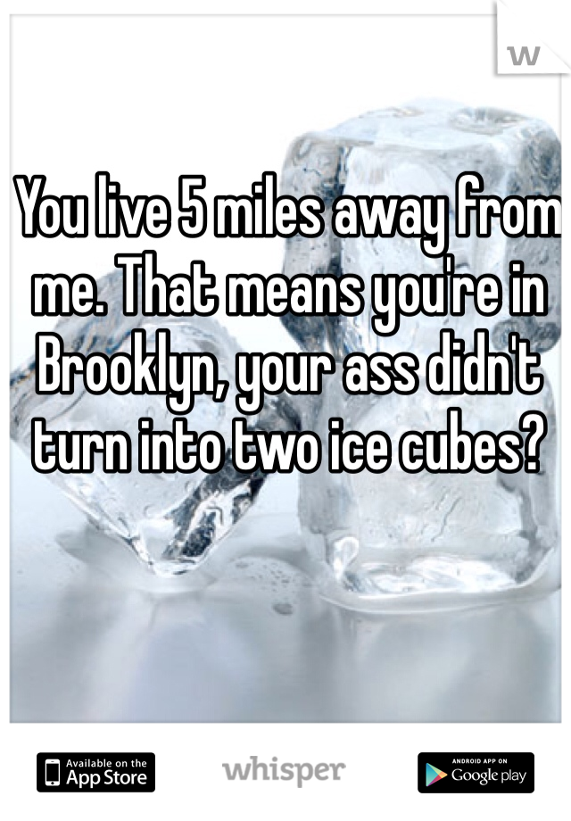 You live 5 miles away from me. That means you're in Brooklyn, your ass didn't turn into two ice cubes? 