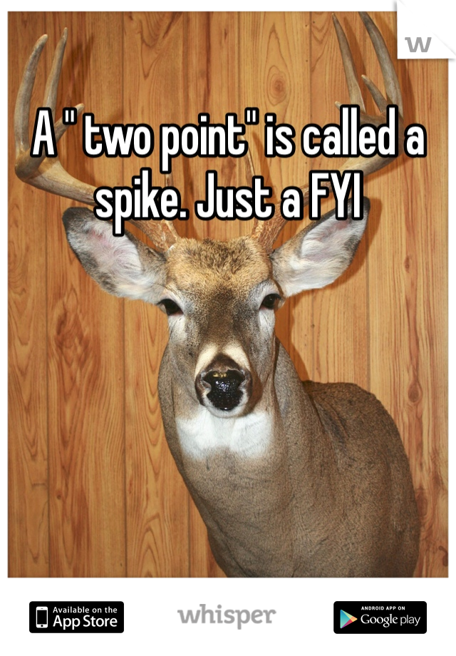 A " two point" is called a spike. Just a FYI 