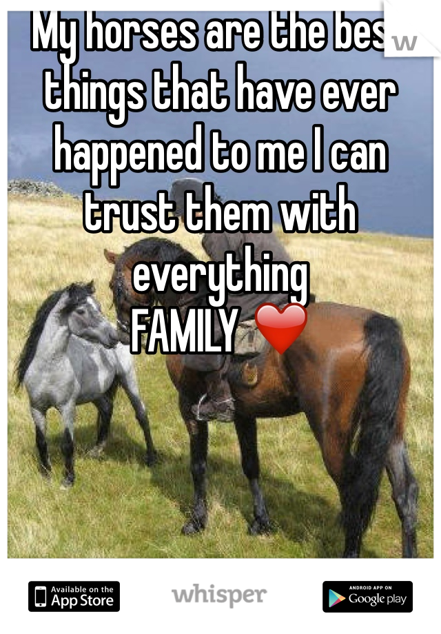My horses are the best things that have ever happened to me I can trust them with everything 
FAMILY ❤️