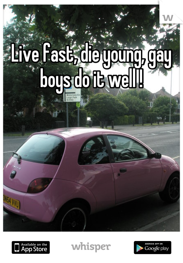 Live fast, die young, gay boys do it well !