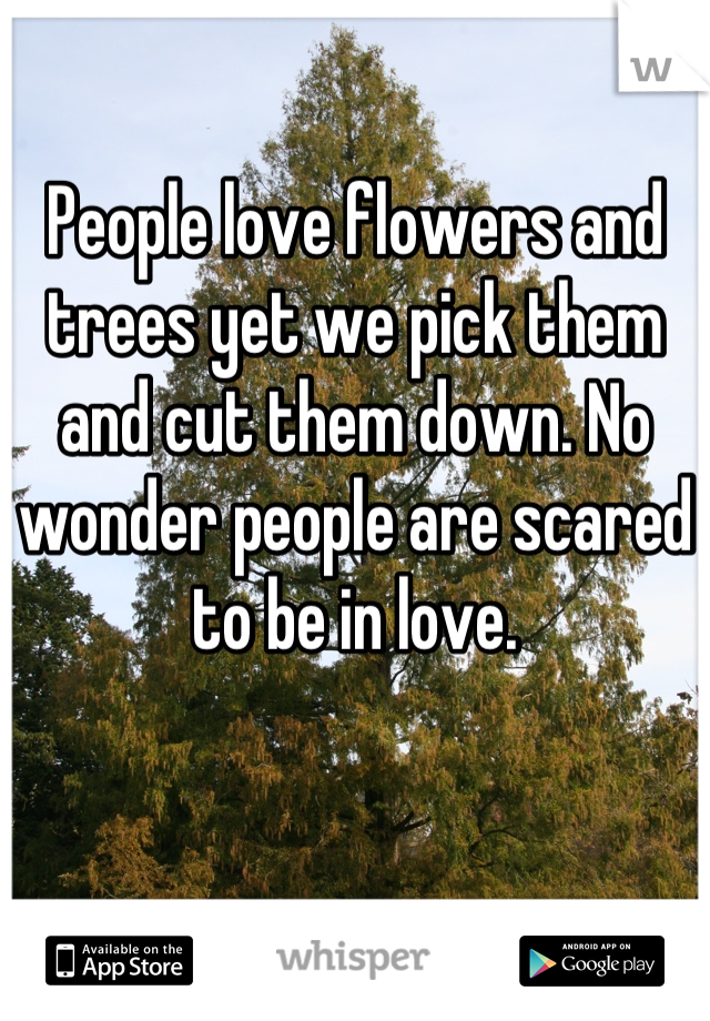 People love flowers and trees yet we pick them and cut them down. No wonder people are scared to be in love.