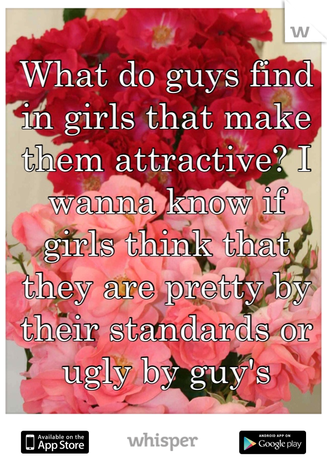 What do guys find in girls that make them attractive? I wanna know if girls think that they are pretty by their standards or ugly by guy's