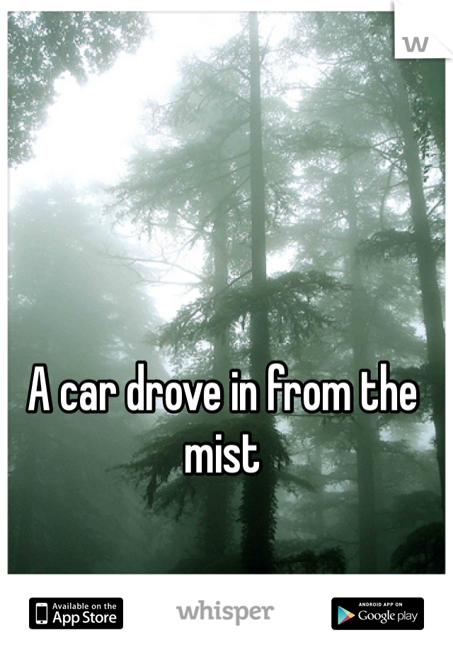 A car drove in from the mist