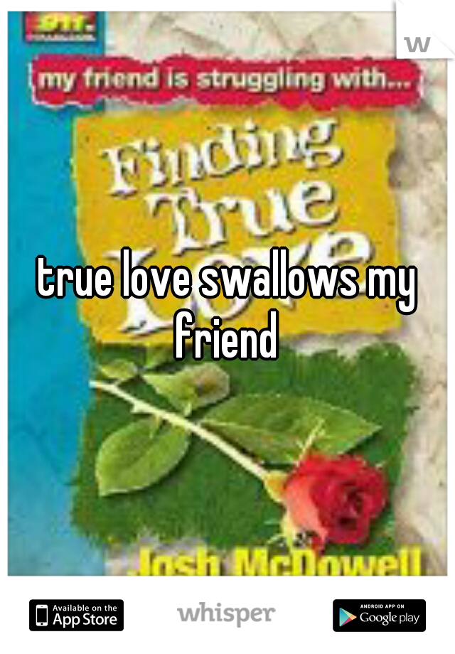 true love swallows my friend 