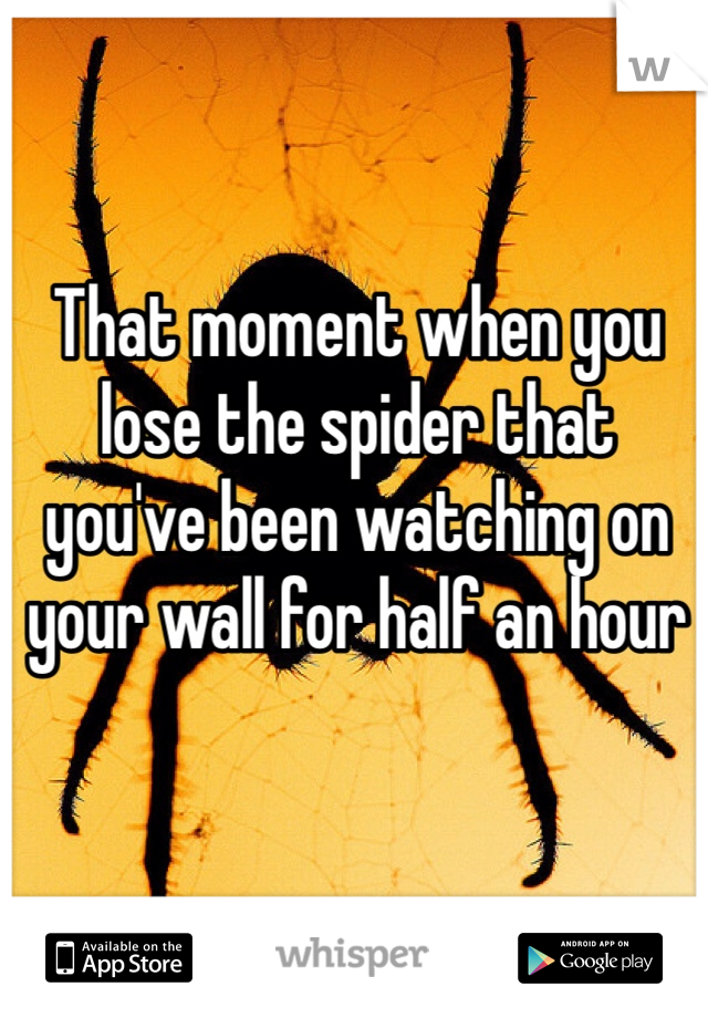 That moment when you lose the spider that you've been watching on your wall for half an hour