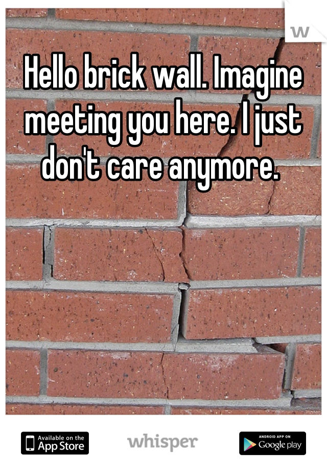 Hello brick wall. Imagine meeting you here. I just don't care anymore. 
