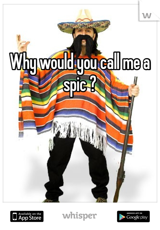 Why would you call me a spic ? 