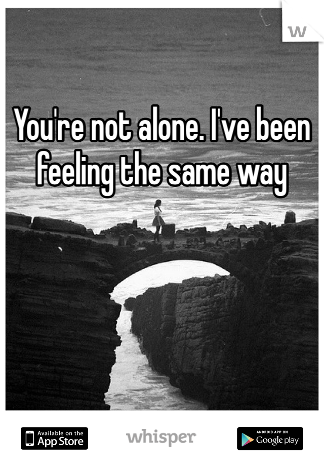 You're not alone. I've been feeling the same way 