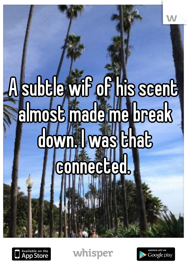 A subtle wif of his scent almost made me break down. I was that connected. 