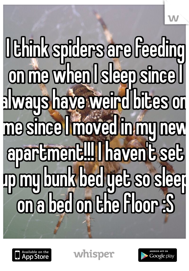 I think spiders are feeding on me when I sleep since I always have weird bites on me since I moved in my new apartment!!! I haven't set up my bunk bed yet so sleep on a bed on the floor :S 