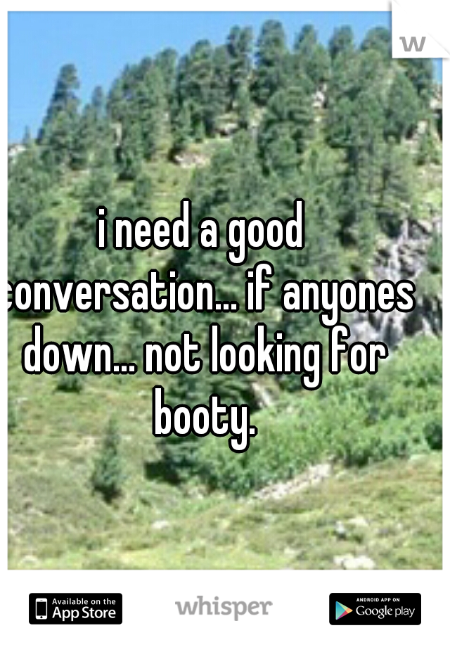 i need a good conversation... if anyones down... not looking for booty.