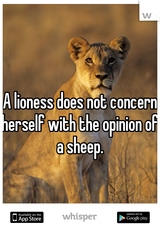 A lioness does not concern herself with the opinion of a sheep.