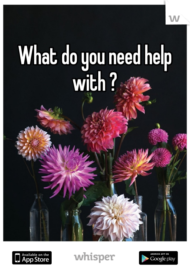 What do you need help with ?