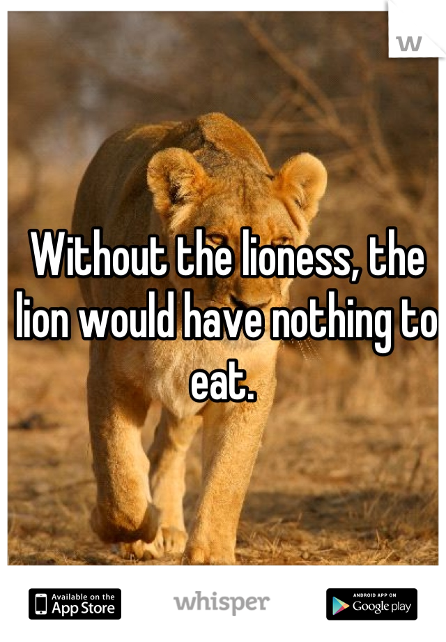 Without the lioness, the lion would have nothing to eat. 