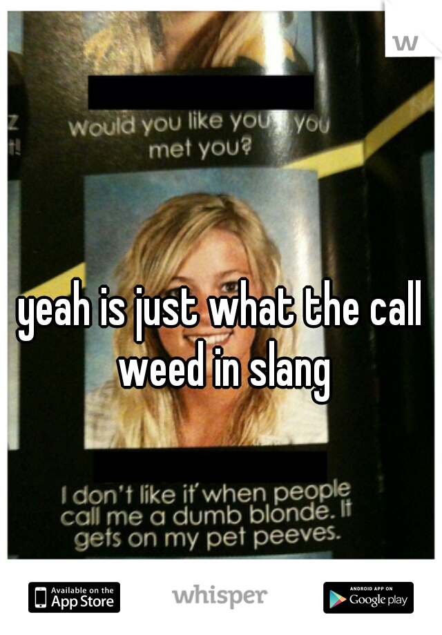 yeah is just what the call weed in slang