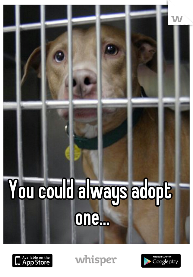 You could always adopt one...