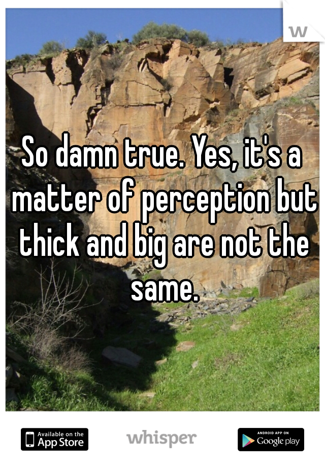 So damn true. Yes, it's a matter of perception but thick and big are not the same.