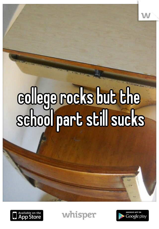college rocks but the school part still sucks