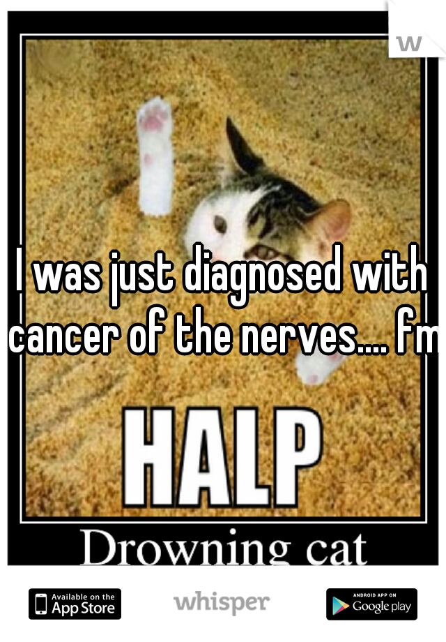 I was just diagnosed with cancer of the nerves.... fml
