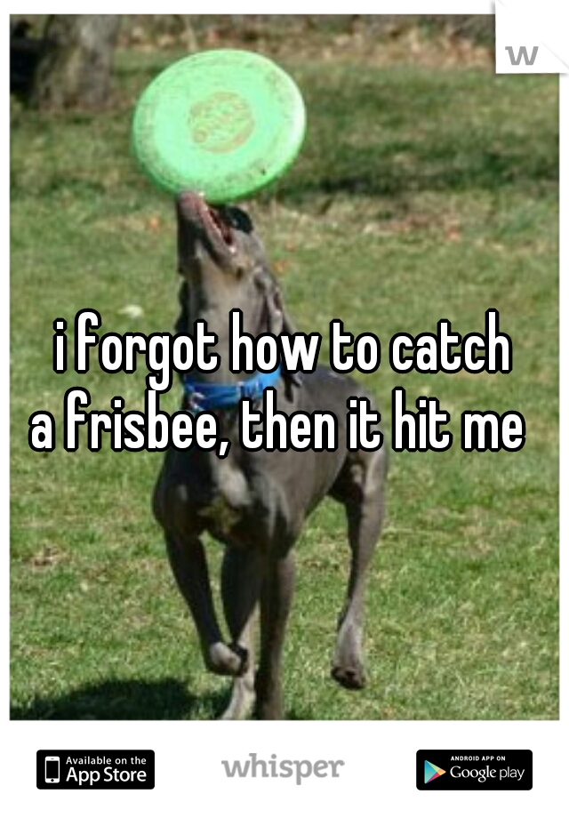 i forgot how to catch
 a frisbee, then it hit me  