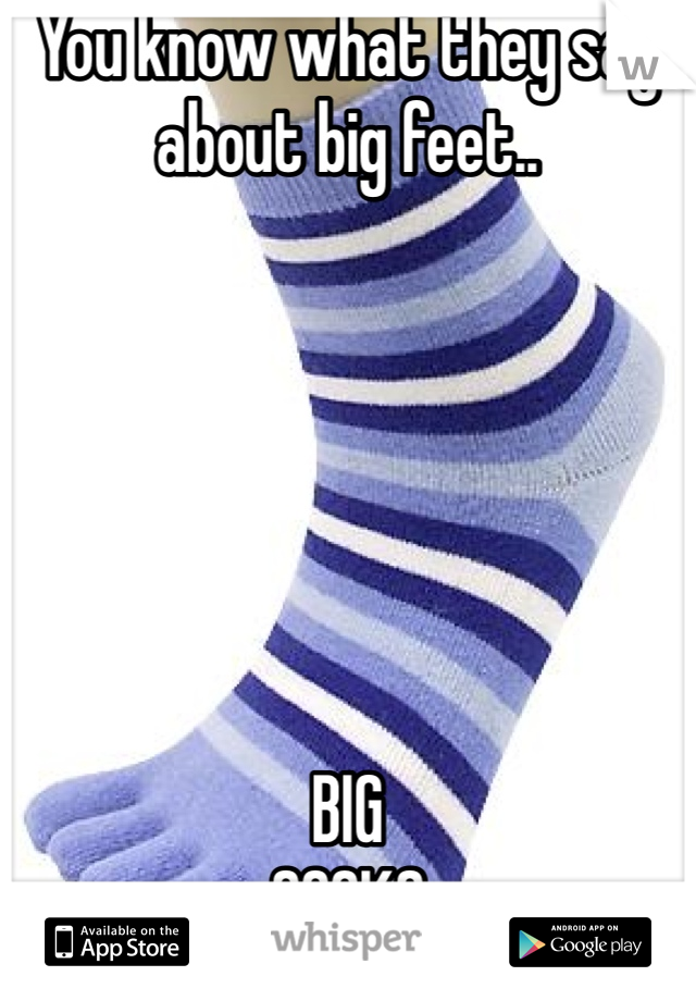 You know what they say about big feet..                






BIG 
SOCKS