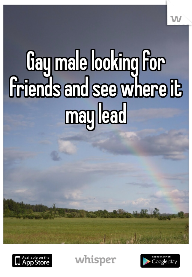 Gay male looking for friends and see where it may lead