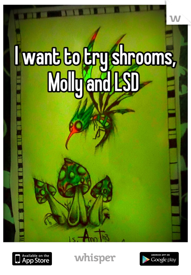 I want to try shrooms, Molly and LSD 