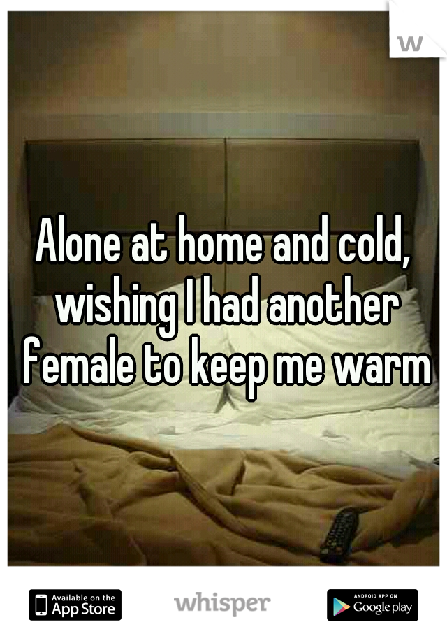 Alone at home and cold, wishing I had another female to keep me warm