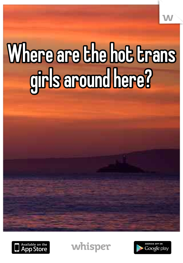 Where are the hot trans girls around here?