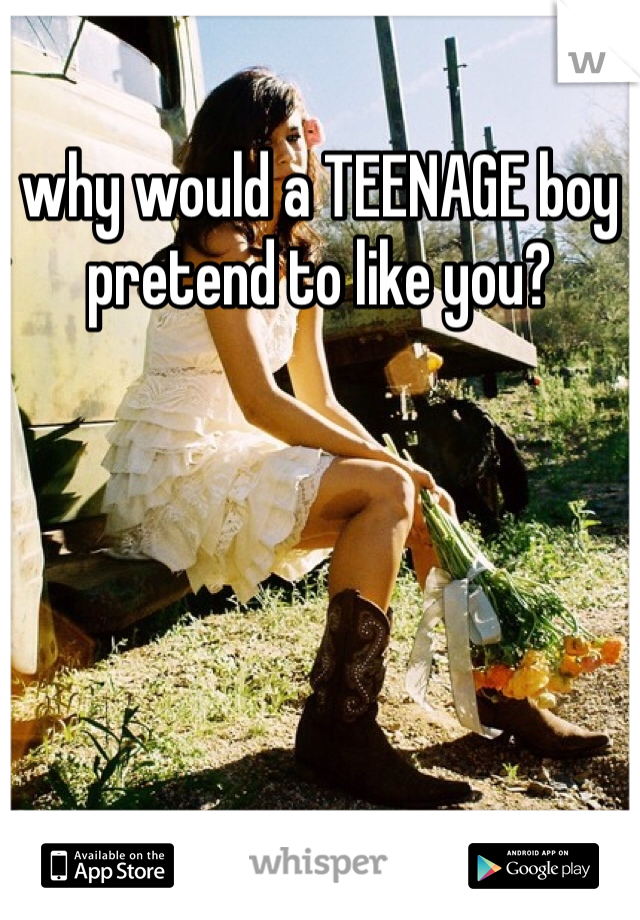 why would a TEENAGE boy pretend to like you? 