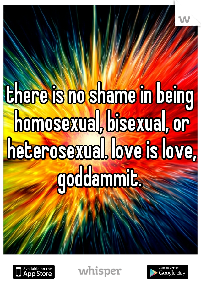 there is no shame in being homosexual, bisexual, or heterosexual. love is love, goddammit. 
