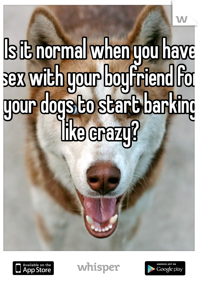 Is it normal when you have sex with your boyfriend for your dogs to start barking like crazy?