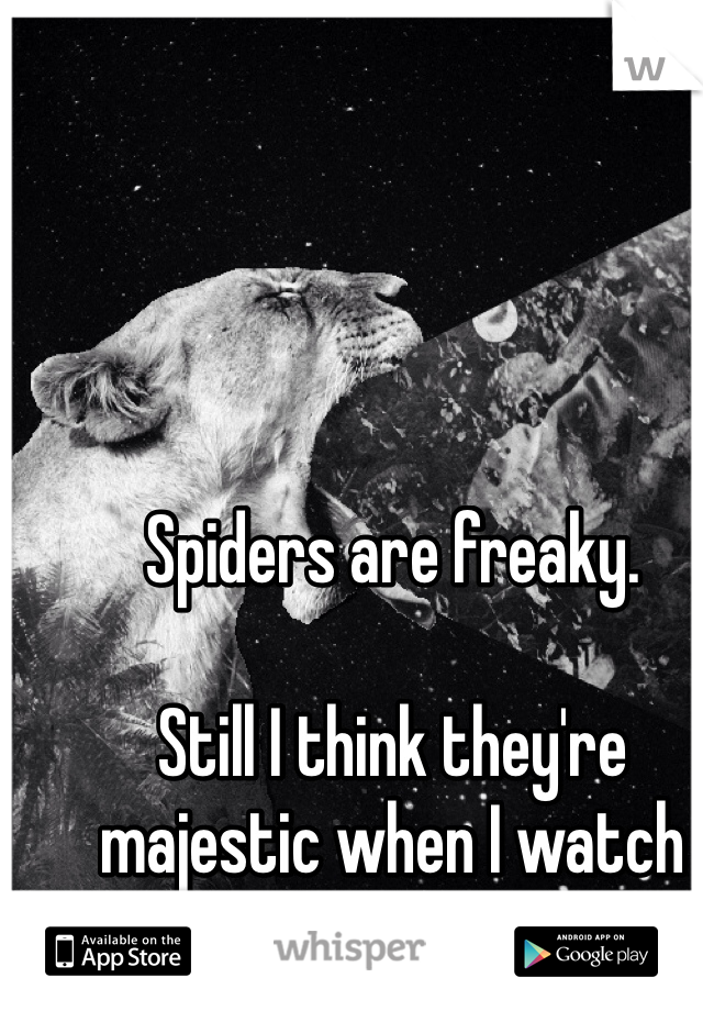 Spiders are freaky. 

Still I think they're majestic when I watch them in slow motion. 