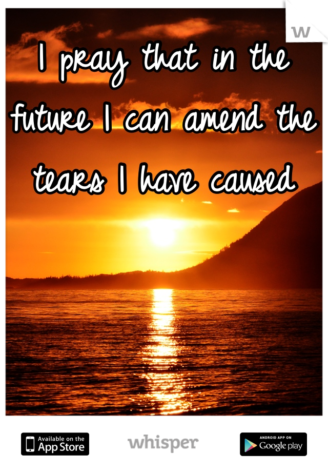 I pray that in the future I can amend the tears I have caused