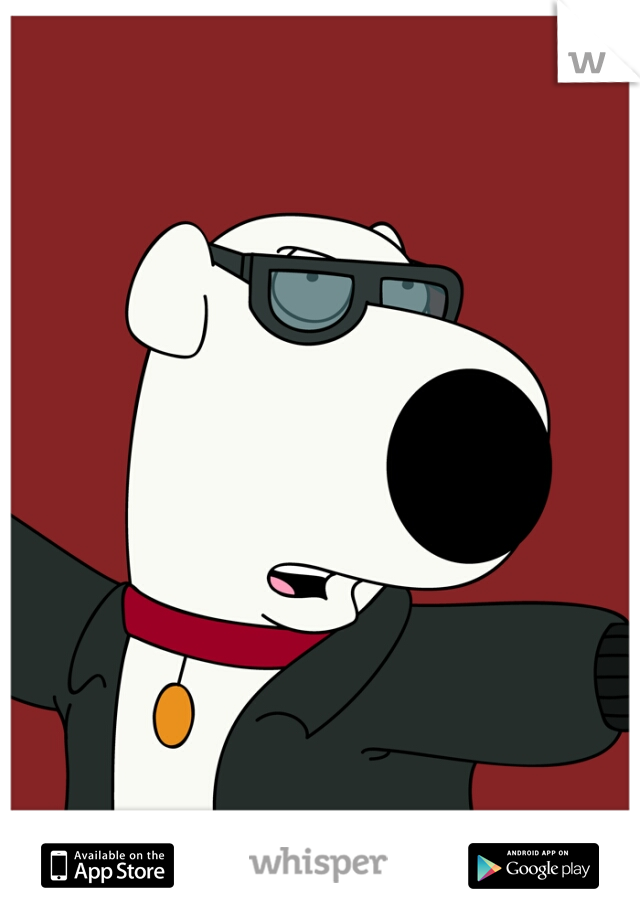 lets take a moment and think in all the dogs that have and will dye because of distracted drivers     Brian Griffin  this is for you..... 
