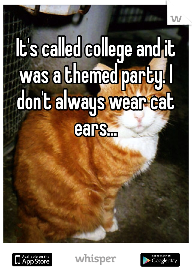 It's called college and it was a themed party. I don't always wear cat ears... 