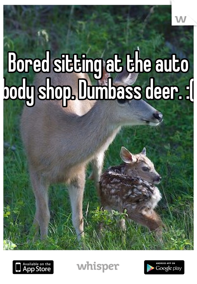Bored sitting at the auto body shop. Dumbass deer. :( 