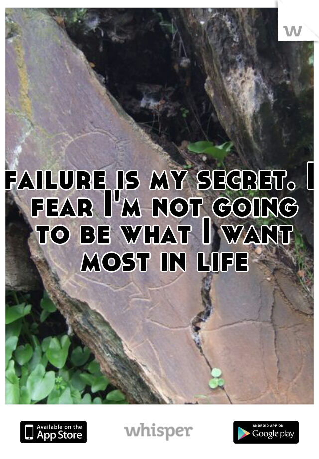 failure is my secret. I fear I'm not going to be what I want most in life