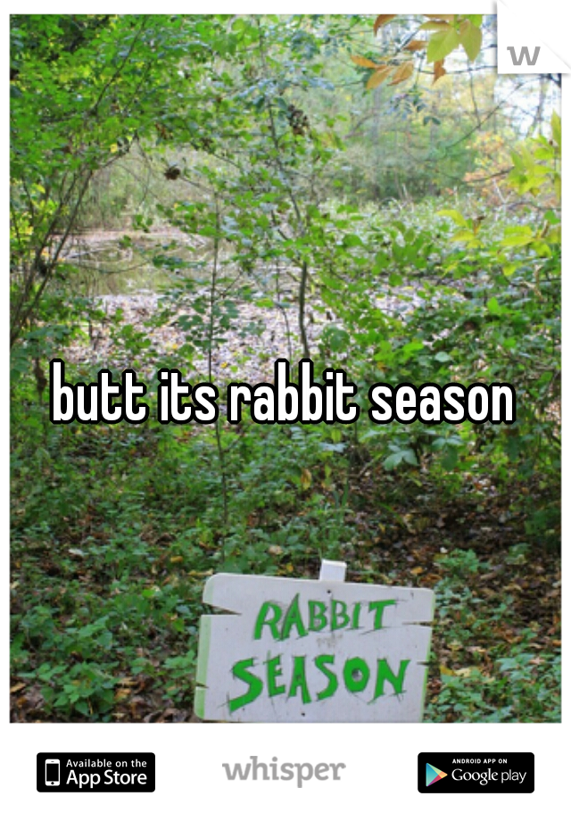 butt its rabbit season
