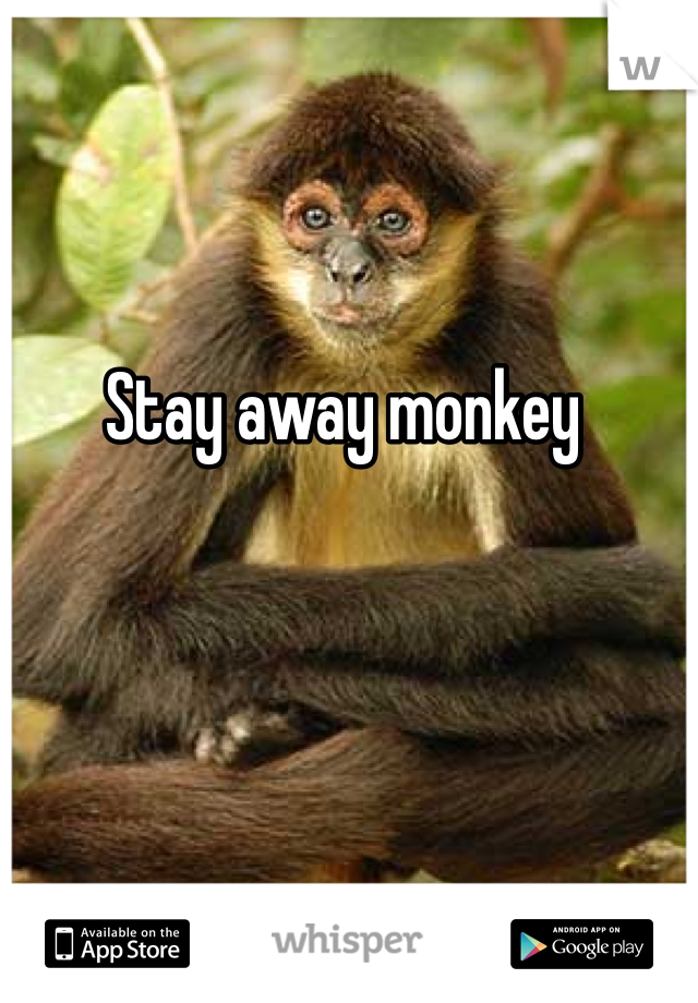 Stay away monkey