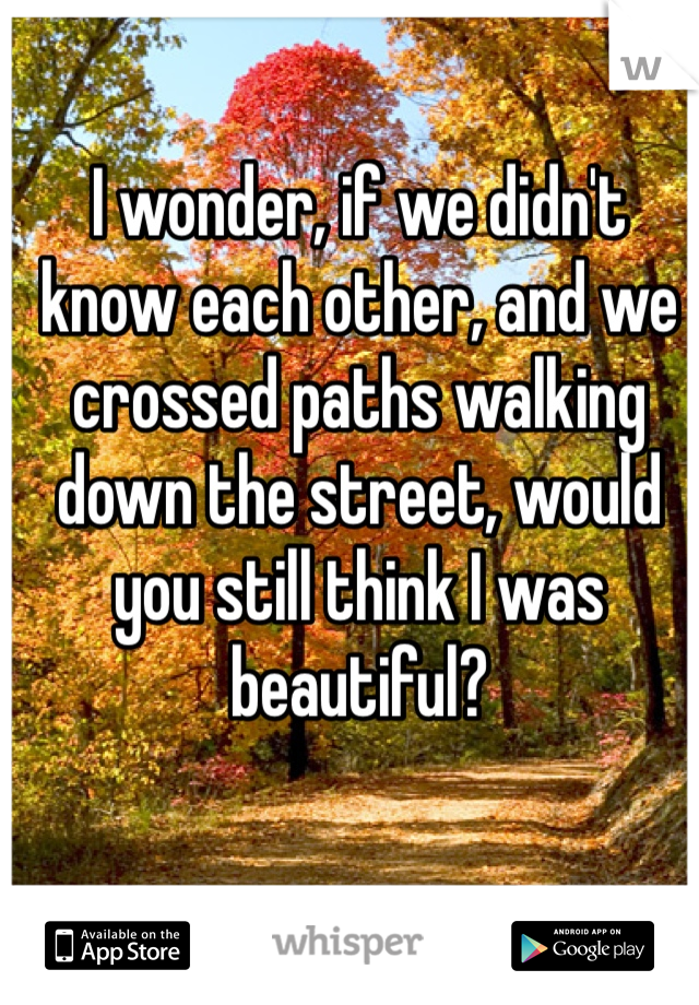 I wonder, if we didn't know each other, and we crossed paths walking down the street, would you still think I was beautiful? 