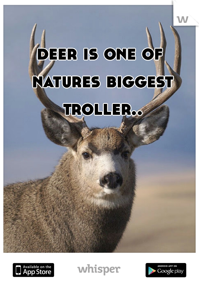 deer is one of natures biggest troller..